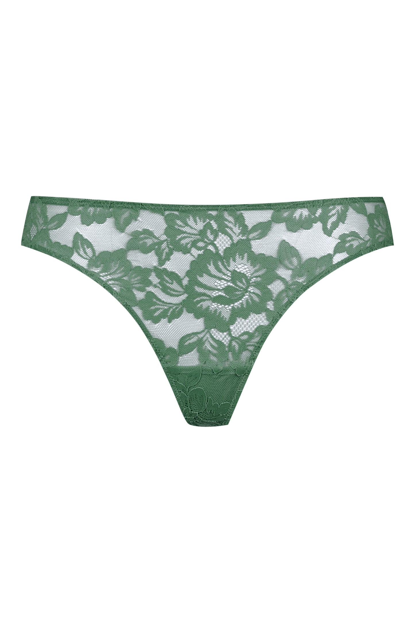 79236 String 1723 Moss